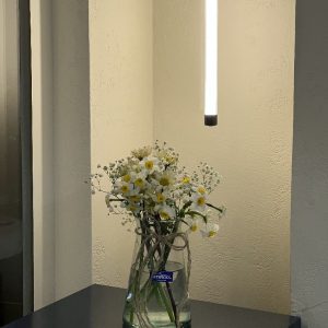 دسته گل نسترن